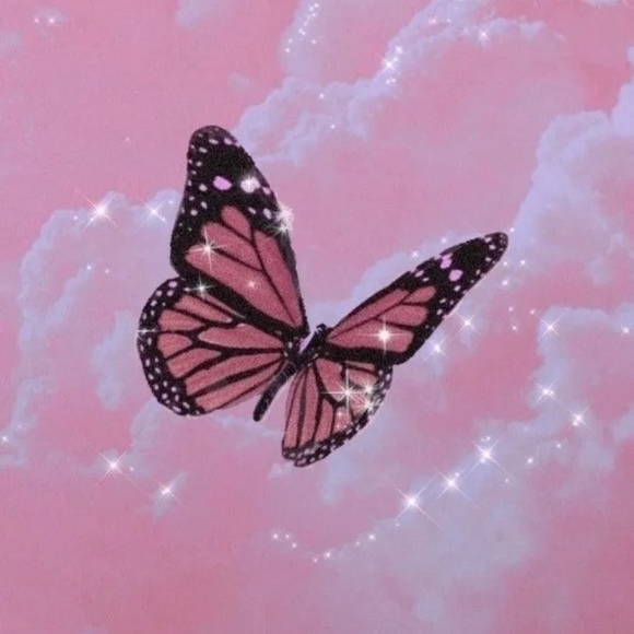 babey_butterfly